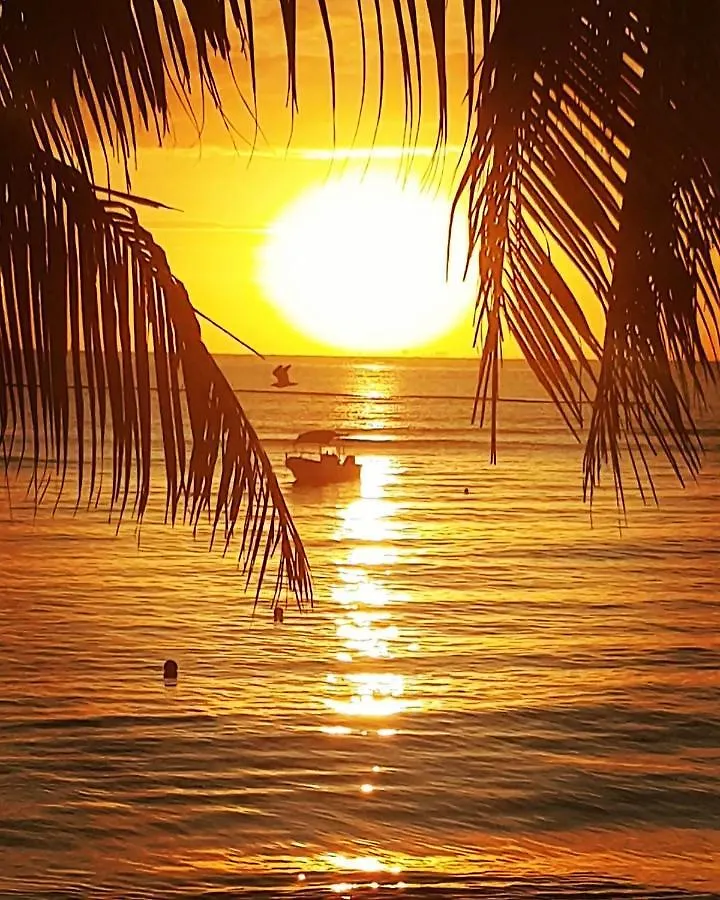 Apartamento Sunshine Suite Playa del Carmen